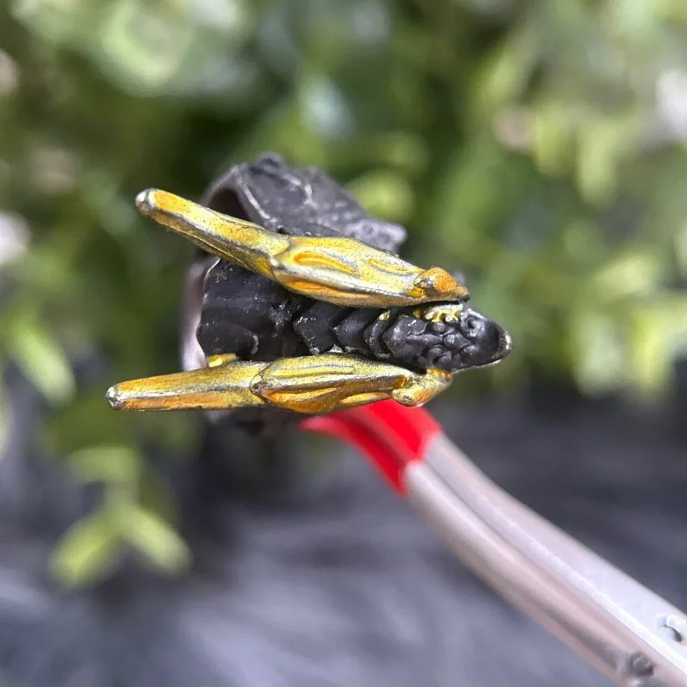 Black Band‎ Yellow Accent Dragon Ring